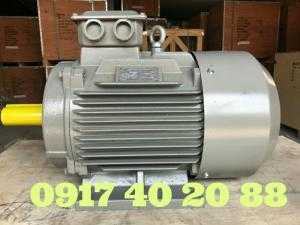Motor 3 pha cao cấp thương hiệu từ Úc.