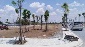 Chính chủ bán 3 lô đất thổ cư đường ĐT 833B, gần kcn Long Cang,Long An, SHR