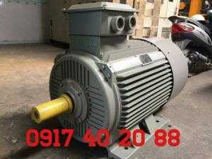 Motor 3 pha cao cấp thương hiệu từ Úc