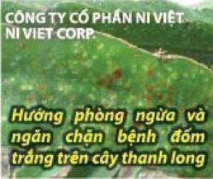 Thuốc trừ nấm phòng và trị bệnh trên cây phong lan