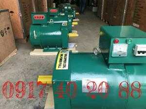 Đầu phát điện chổi than ST/STC 1 phase - 3 phase