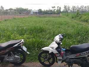 Bán đất chính chủ