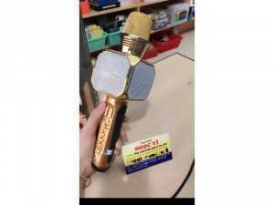 Mic karaoke kèm loa blutooth