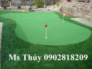 Thi công thảm chơi golf tại nhà, putting green golf