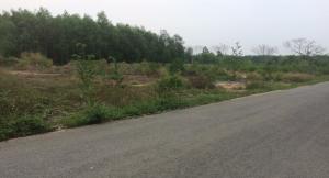 Lô Đất Sào xã Bình Lợi