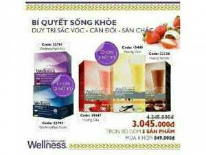 Wellness