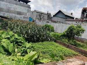 Thôn An Đà, xã đặng xá huyện Gia Lâm thành phố Hà Nội