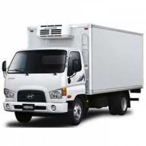 Xe tải Hino đông lạnh 1.9T