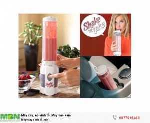Máy say sinh tố mini