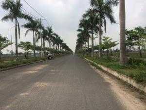 Bán đất gấp , giá rẻ , sổ hồng riêng , thổ cư 100%