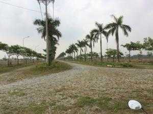 Bán đất thổ cư, sổ riêng, giá rẻ, Đức Hòa, Long An,