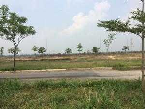 Bán đất thổ cư, sổ riêng, giá rẻ, Đức Hòa, Long An,