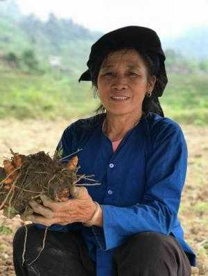 Tinh Bột Nghệ
