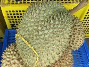 Sầu riêng ri6