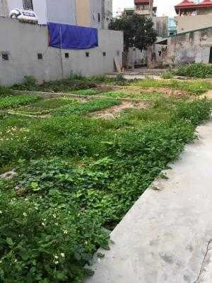 Bán Đất Phúc Lợi Long Biên Hà Nội, Diện Tích 39.4