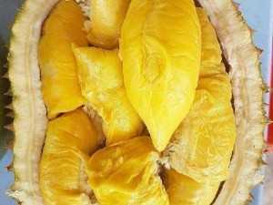 Sầu riêng