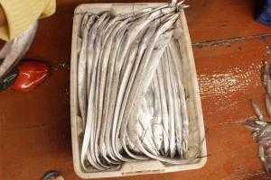 Cá hố Hải Phòng size 2-3con/kg chiều dài 60 - 90cm