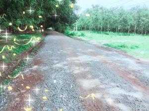 Đất dự án khu dân cư Minh Hưng – Chơn Thành- Bình Phước/cách ql 13 chỉ 2km