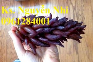 nho ngón tay