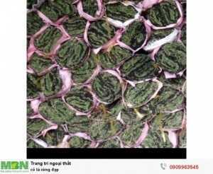 Cỏ lá rừng đẹp