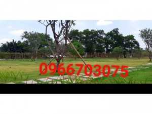 Cỏ thảm trang trí sân vườn đẹp