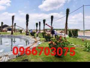 Nhận thi công trồng cỏ sân vườn