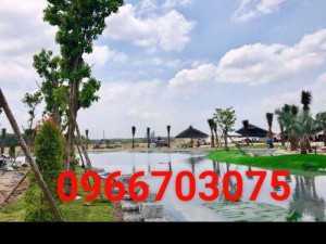 Nhận thi công trồng cỏ sân vườn