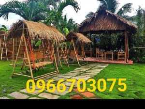 Cung cấp các loại cỏ kiểng trang trí