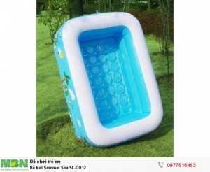 Bể bơi SUMMER SEA các kích cỡ hình cây Dừa
