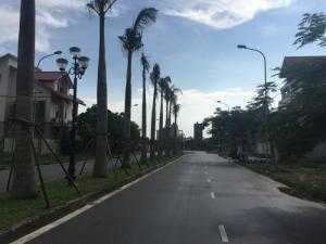 Cần bán gấp lô đất đẹp 86.2-02 biệt thự Trường An, đường đôi rặng dừa, chỉ 4,58 tỷ