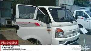 Cabin hyundai