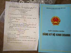 Cây ổi 784aa