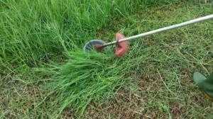 Máy cắt cỏ động cơ 2 thì,máy cắt cỏ oshima chính hãng