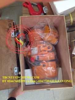 Palang điện juli 2 tấn 6 mét