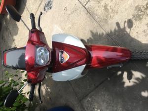 Xe xipo 120