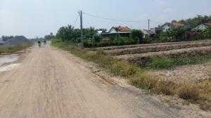Bán gấp lô đất vườn chính chủ 1000.m2