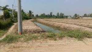 Bán gấp lô đất vườn chính chủ 1000.m2