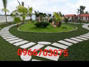 Cỏ sân vườn đẹp