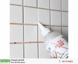 Sơn chỉ Tile reform