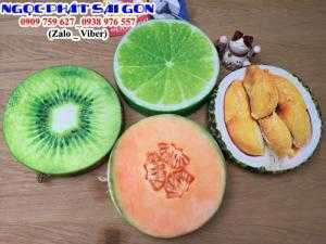Nệm ngồi bệt hình trái cây 3D. Ngọc Phát Sài Gòn. Mới 100%