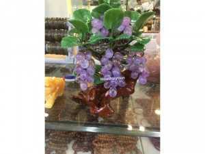 Cây nho tím đá thạch anh-M006