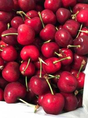 Cherry Mỹ