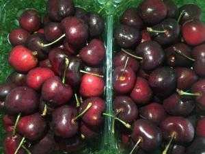 Cherry Mỹ