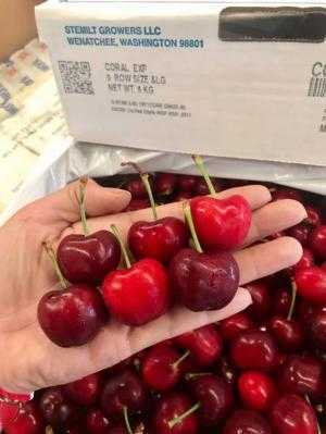 Cherry Mỹ