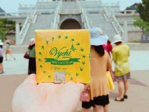 Mạt nạ yến vychi