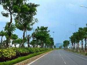 Hiện tôi đang cần tiền nên bán gấp miếng đất dự án Long Hậu, đường xá hoàn thiện.