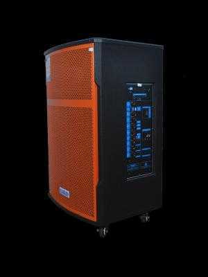 Loa Kéo Alokio VB1 4 Tấc Gỗ
