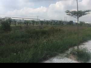 Bán đất MT chỉ Tại Đức Hoà Long An sau lưng kcn Thái Hoà cách tthc Củ Chi 6km