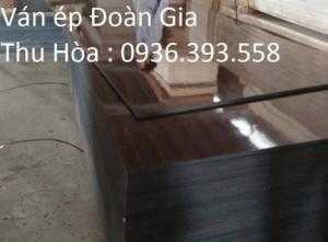 Ván ép phủ phim Đoàn Gia