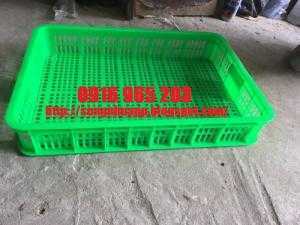 Sọt nhựa hở cao 10 cm